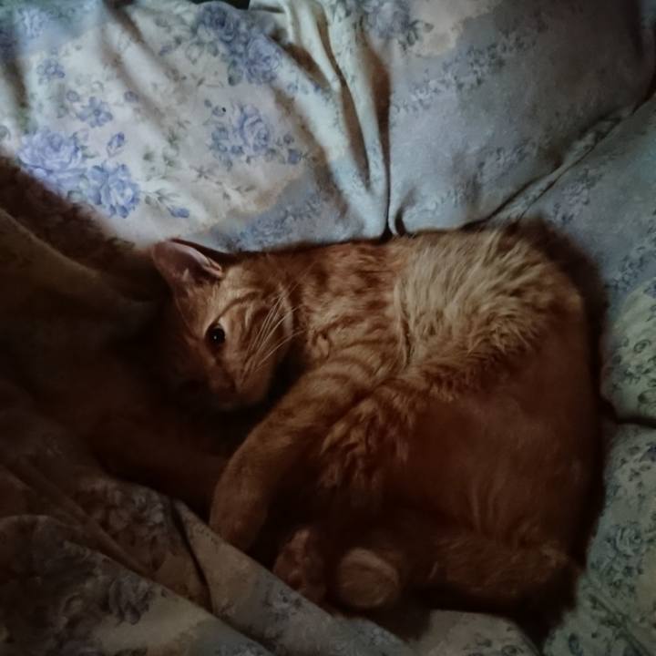 8b86b077 3abf 4840 b80f d88aece61f52 1660085497067