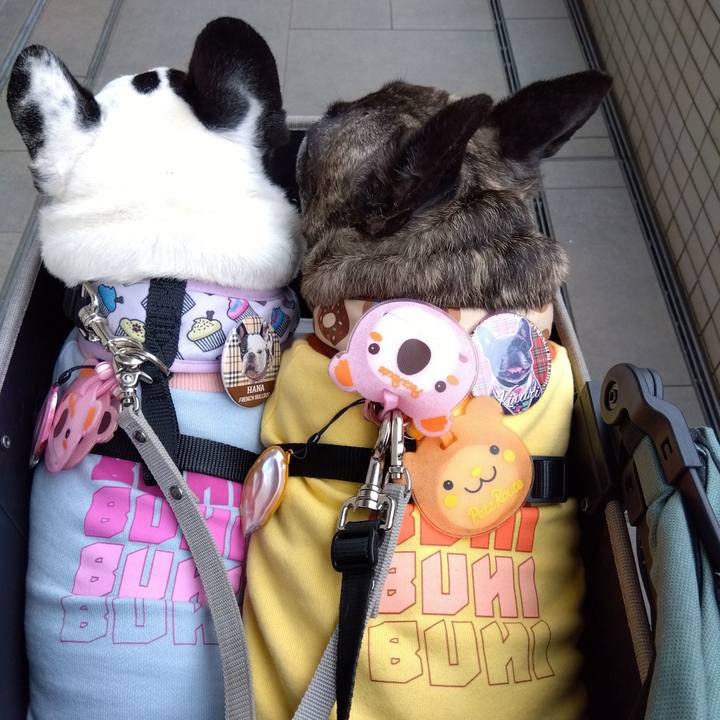 8b86b367 3dfa 41a6 aa3d 3f7edd15ac8a 1730334426539