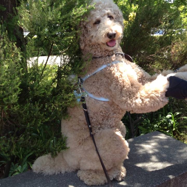 8b86d1ad b5dd 4a95 9380 b558043c0c52 1514471565152