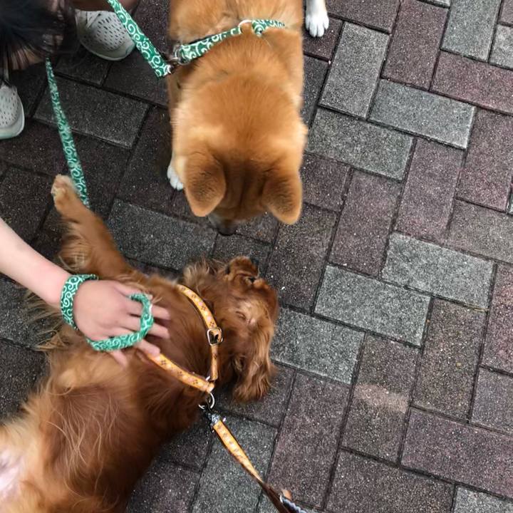 8b872029 a884 44d4 a6ed 2fa9dacda00f 1624193959769