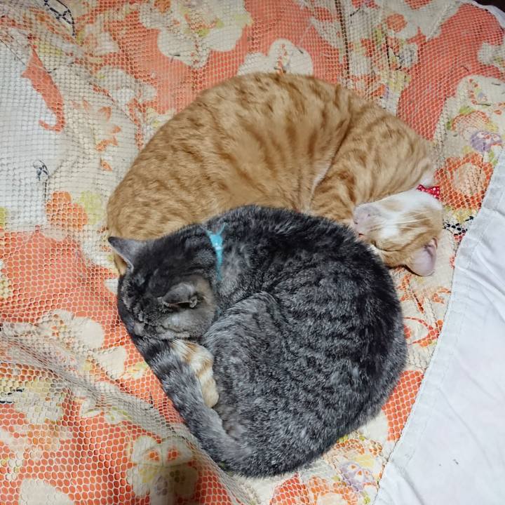 8b872541 45d8 40fc 8eb0 10e7cdd4ea9f 1577535702081