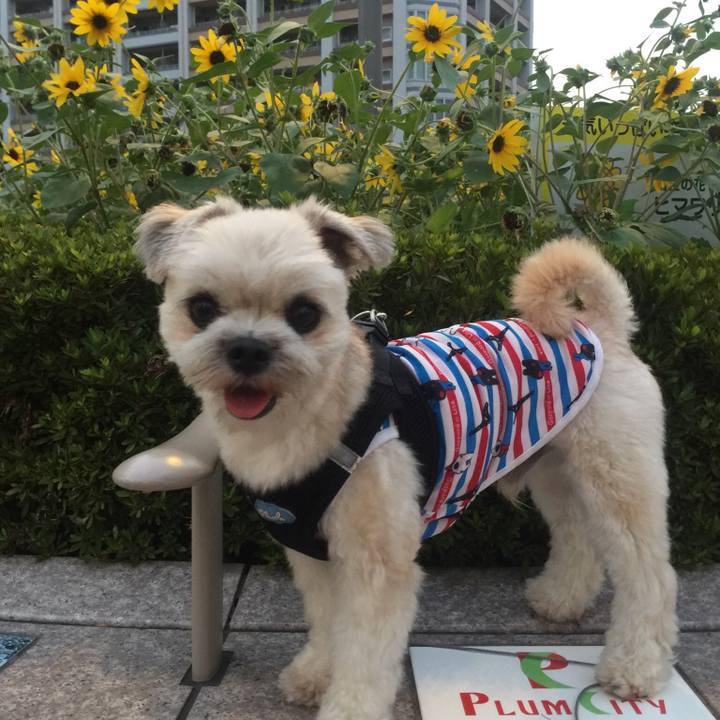 8b8765b2 f116 444d 9c7f b8a13c001c58 1533380422219