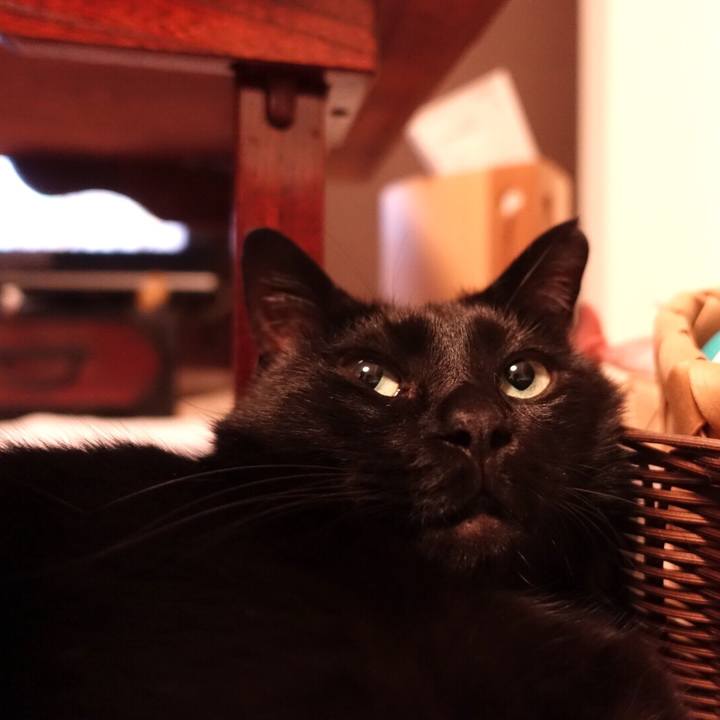 8b877204 7ea8 485a 96d8 f90533bae8d6 1512312151364