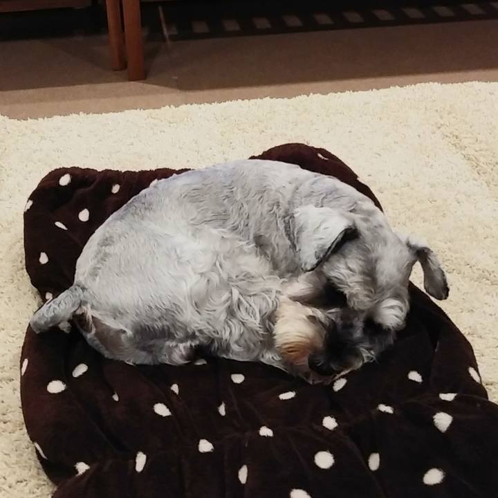 8b8783fa 4f7e 4503 bbfe f83ec691212c 1570861639667