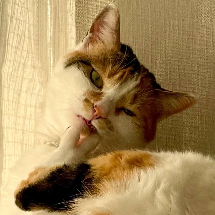 8b87bcec 0ef7 4337 b2ae 1b6913f62e4a 1647069612627