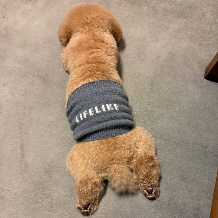 8b884d7e 9bbd 442e a446 173809a1181d 1770025735429