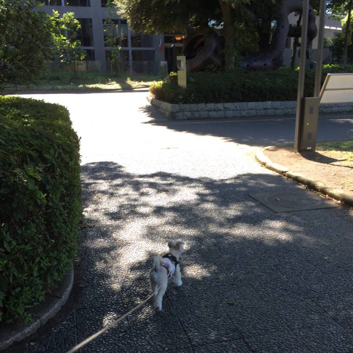 8b885540 b6f7 499c b282 8280134cdc2d 1538895500878