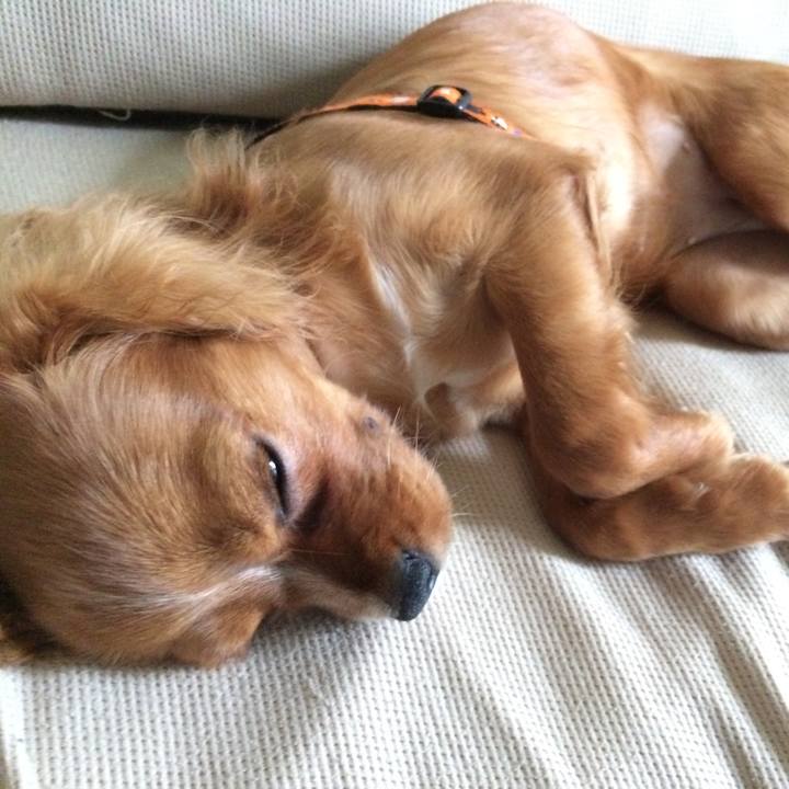 8b886022 f02d 4e8d af43 7f6fc2dddcec 1516362191934