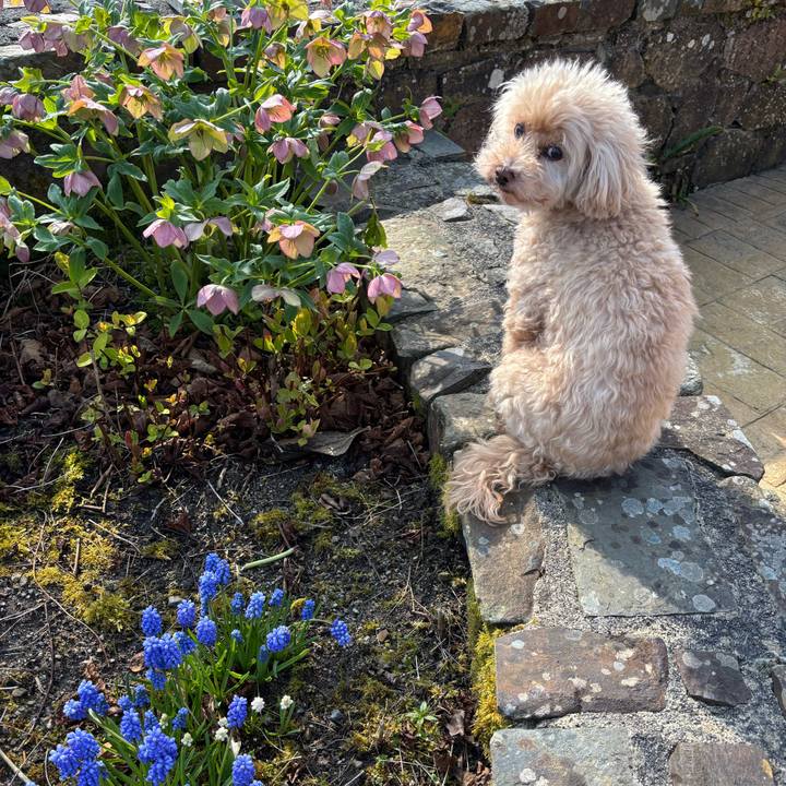 8b88963b 0f08 494f b56c 0526518aed69 1774091292632