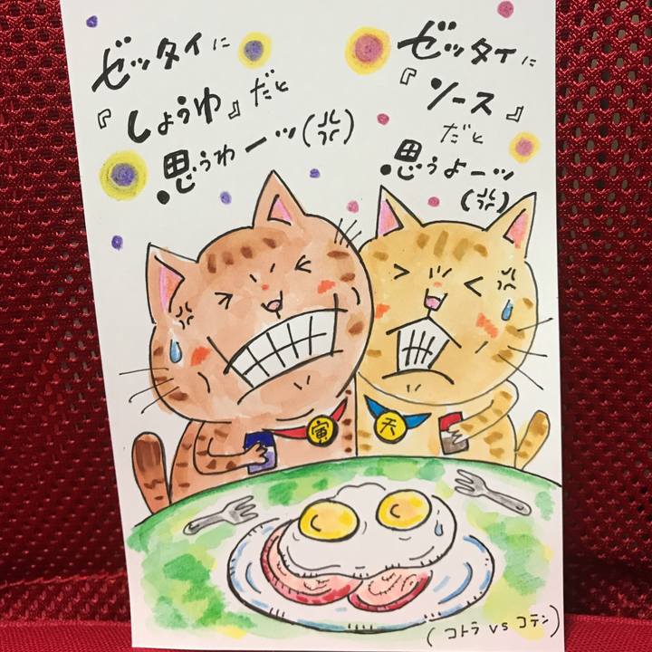 8b88dc2c 9534 45f8 a39c 80a97c967d74 1541508853118