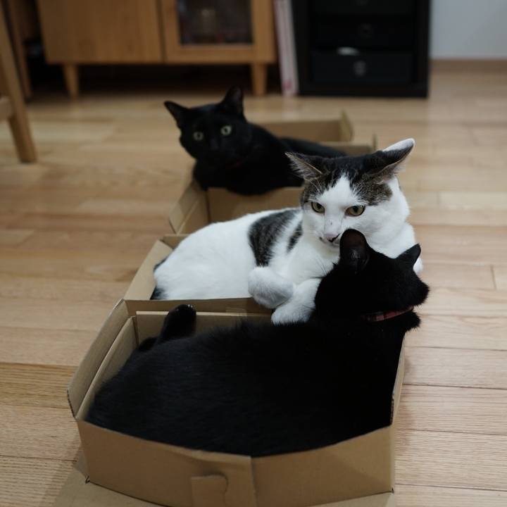 8b89205d 22dc 430b b13a fe3c7db03242 1561540433668