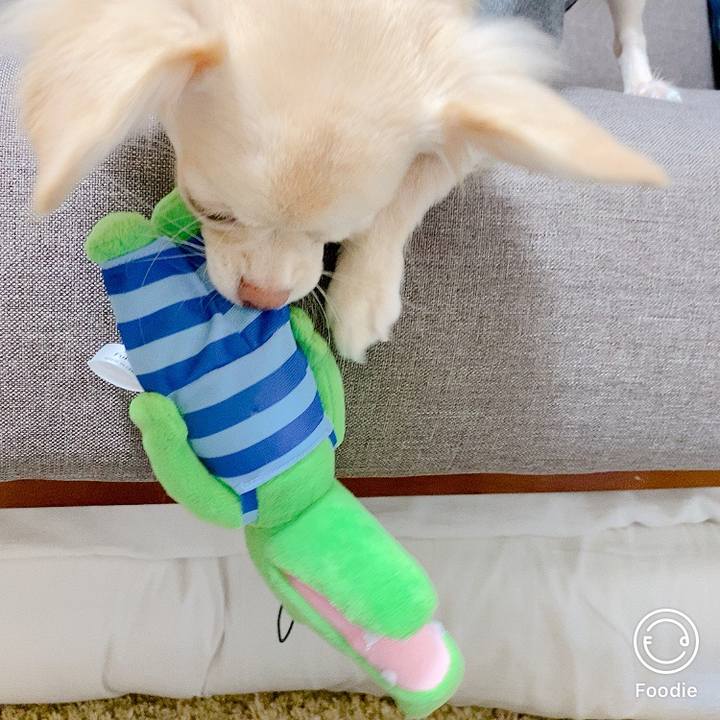 8b8930a5 838b 4b0c b29e cbfe8c18146d 1600935164674