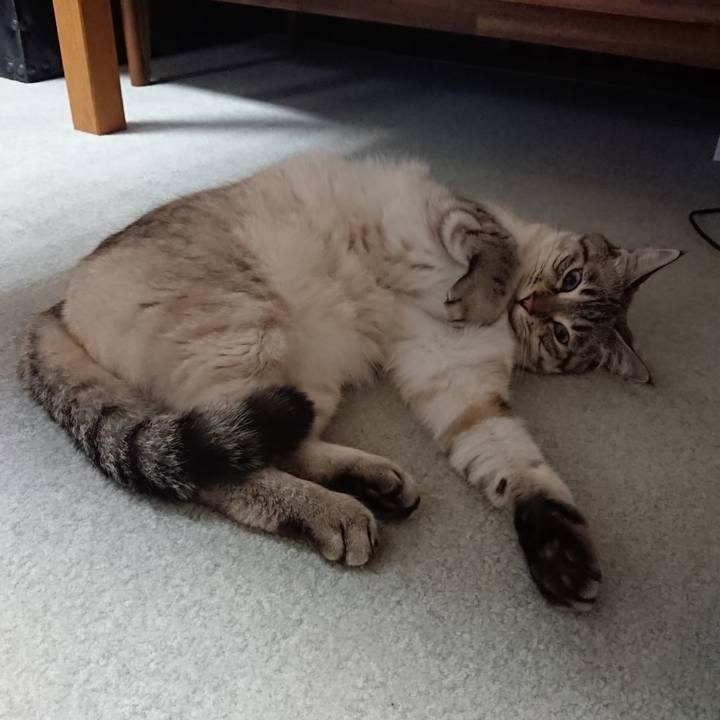 8b893d46 d321 41ec 8391 54c010e6d76a 1559569094460