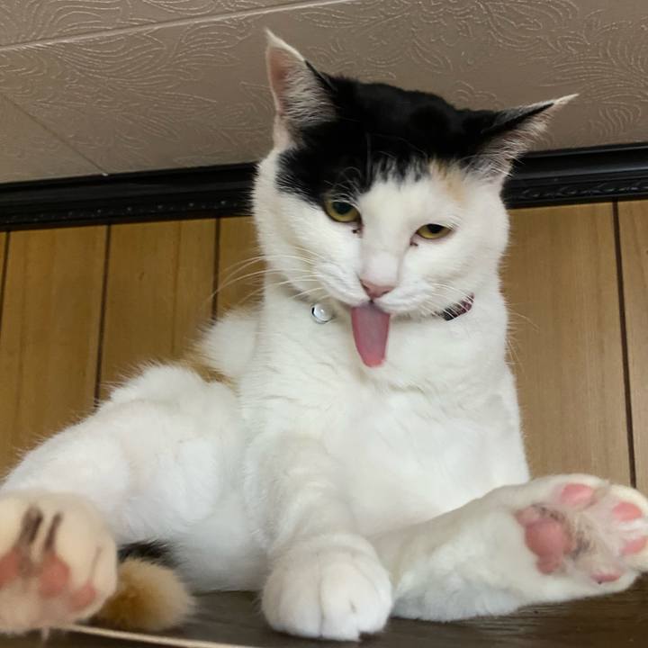 8b895285 8b71 4b18 bb3e 24aca95eb96e 1650461376635