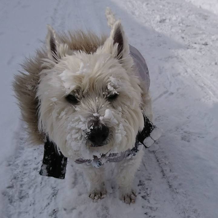 8b896e81 d173 4e5e 8720 fe3521a9770d 1518441703342