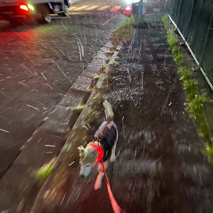 8b89742f 90be 4991 8e05 a6ee9a43c03b 1609331717549