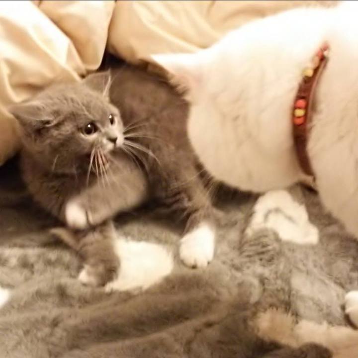 8b899766 9570 4e8c bcc5 17fd4b53f3ab 1712528343379