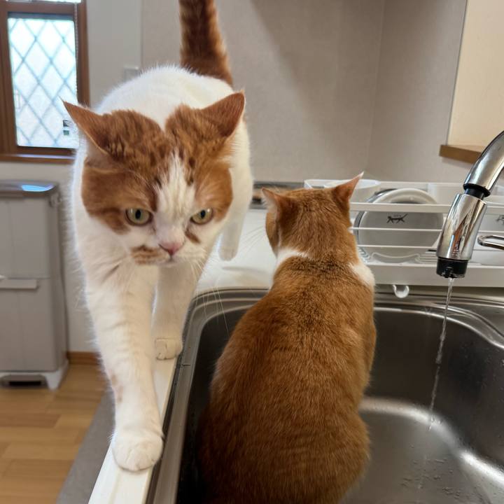 8b89ecd3 3cf6 4df7 847e a3b58d8b2fe9 1765161176462