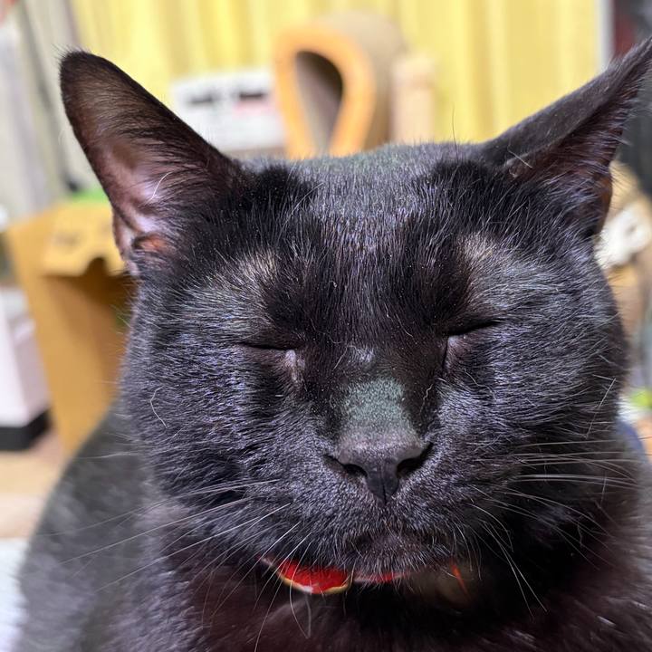 8b8a1829 34b2 4303 a6de 9fbd12c11832 1770563285240