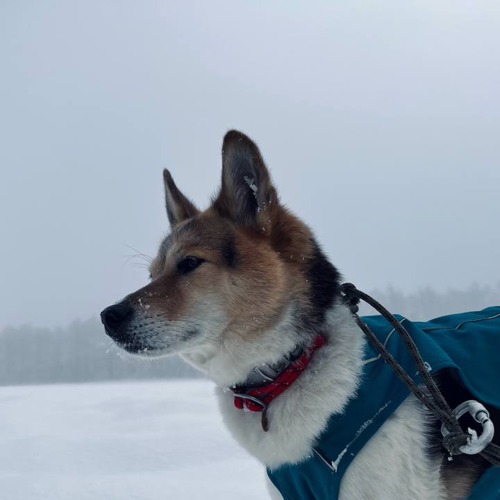 8b8a4764 91b7 4a53 b63b 8098c7334402 1772581196194