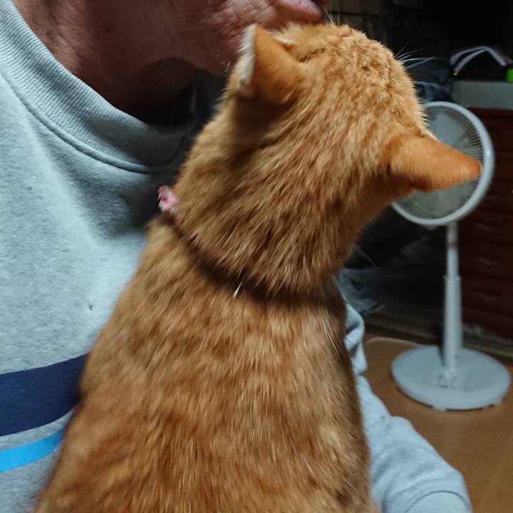 8b8a5a81 79bb 4bbe 9a5e 1a614398c749 1601583213820