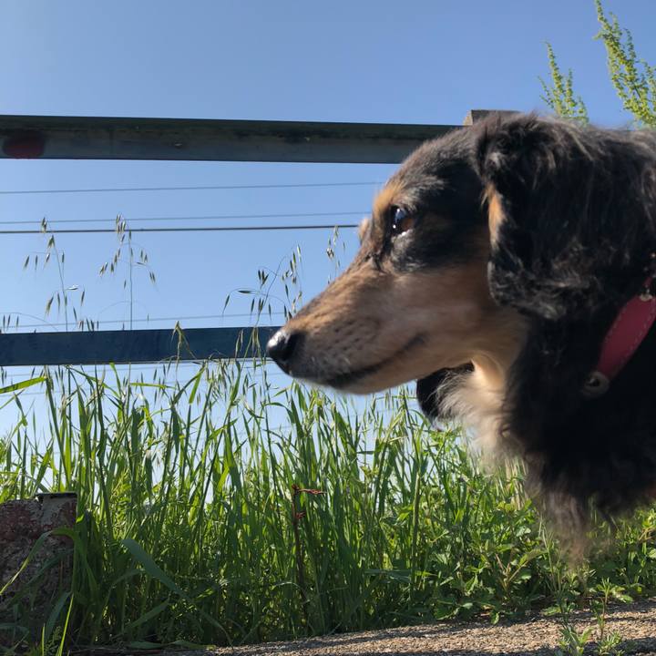 8b8a6dc7 0937 4875 9508 28a9a5600eca 1586391874690