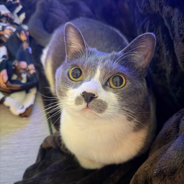 8b8a74a3 01da 4d0c ba27 ab2e682ae349 1766275640151