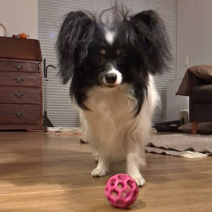 8b8a853a f23f 429d bf3a bc4148769d1a 1520509680977