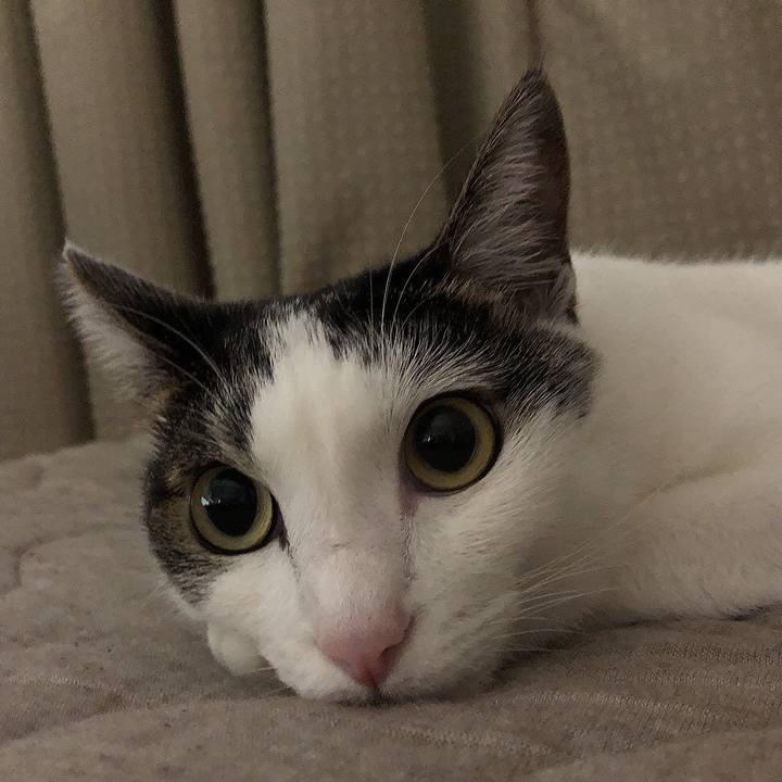 8b8a85f3 c949 4f8f 9cd6 7c2768a2a955 1694271715333