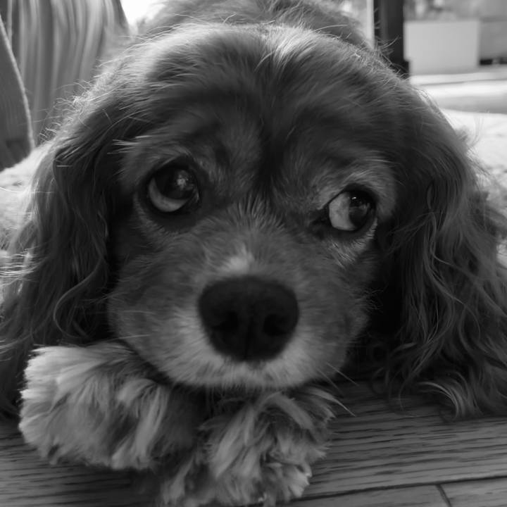 8b8a8922 1ead 42fb b090 9086a0714f33 1656127427867