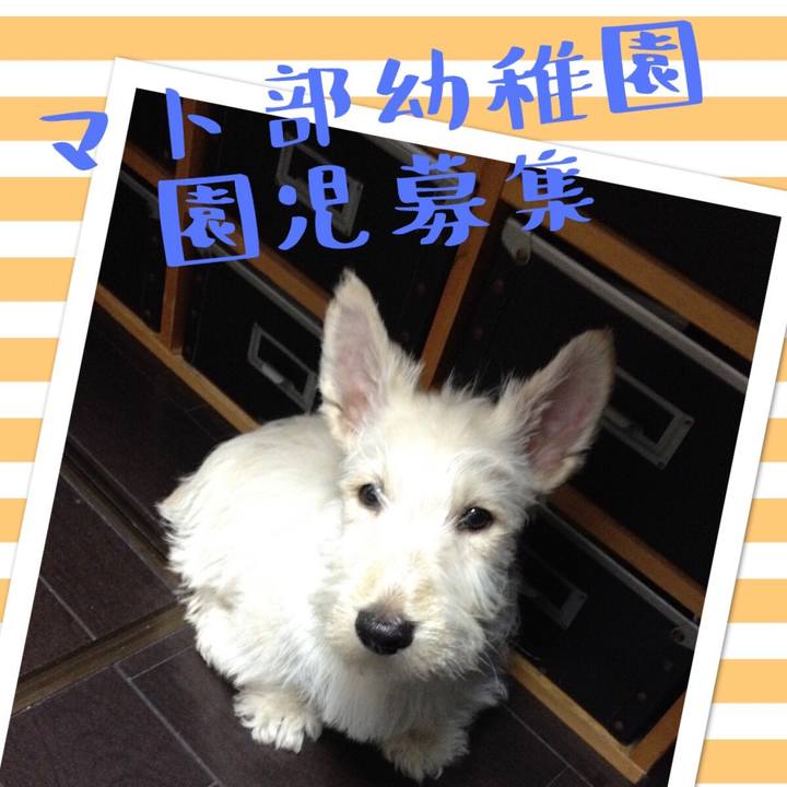 8b8a9fdd a443 414d a900 920d63321468 1535117345900