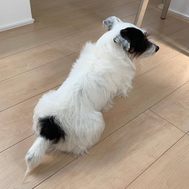 8b8ac02b 4b4d 47c5 8409 7a9dfc25ac12 1566086971945