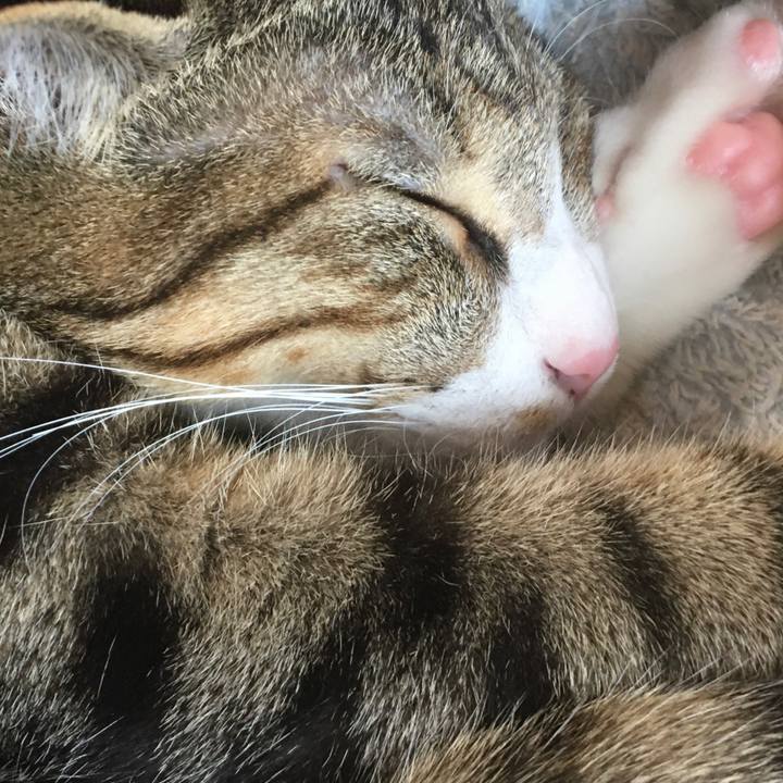 8b8ad536 dbaf 45e9 9db5 f4ad9d91bab9 1667088796992