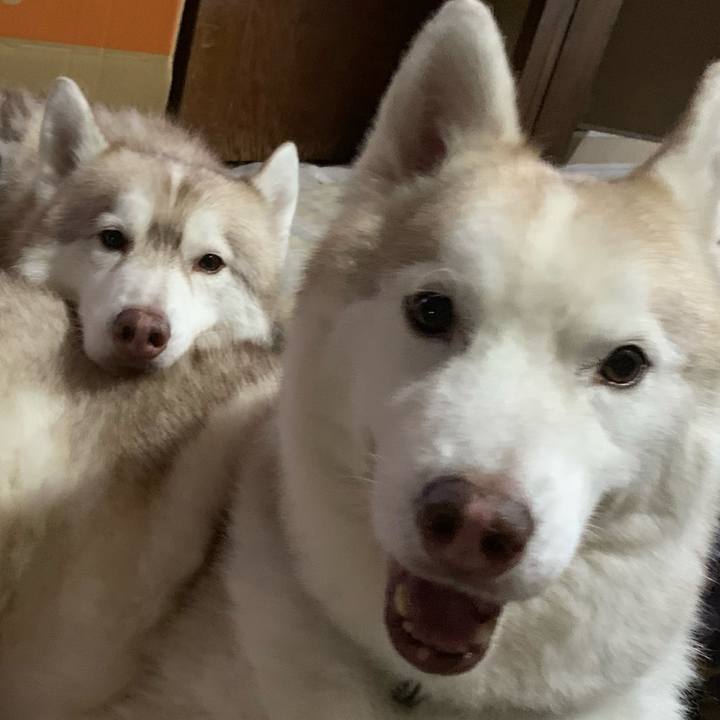 8b8b0260 72a6 4ea5 8f4f 22a2636a0297 1656133597178