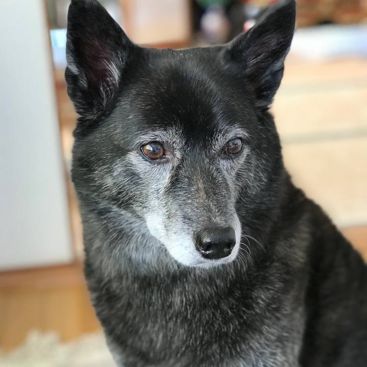 8b8b18f3 cf1d 49e7 b8d5 77248c3a8a43 1575378293402