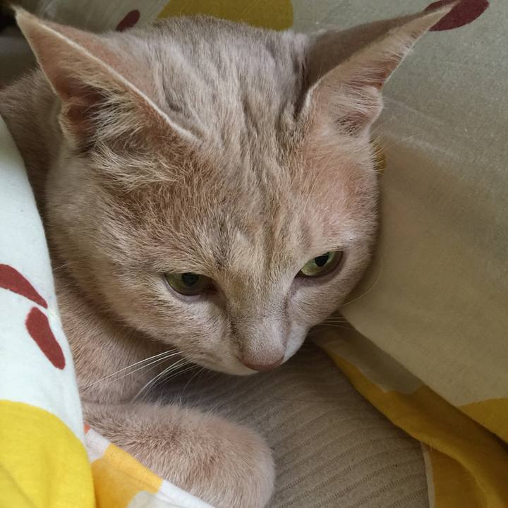 8b8b4590 e615 42dd 94cc b3743571a67d 1527290721625