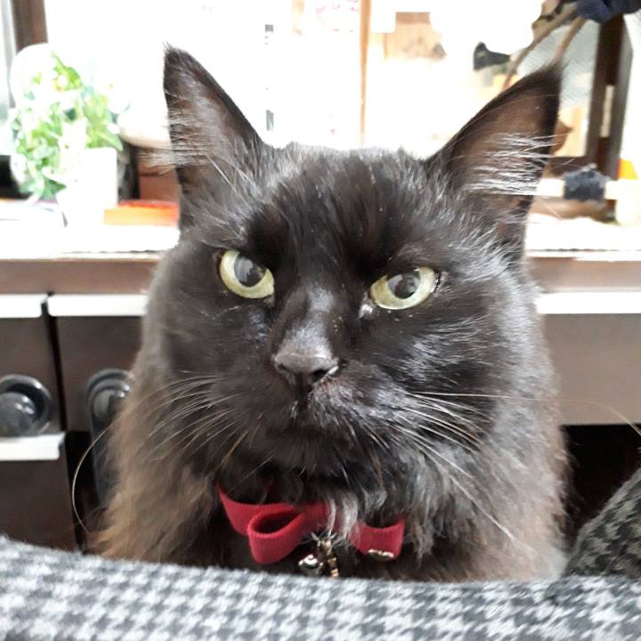 8b8b4f90 ca71 490c 8085 5e9219a192ae 1517000467525