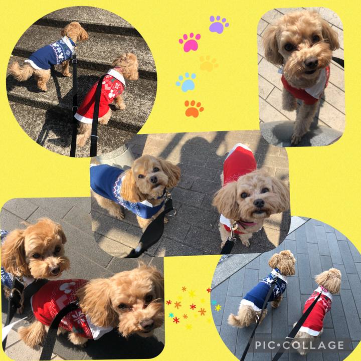 8b8b5de1 e689 44d5 9771 b771fc1175a7 1676705675922