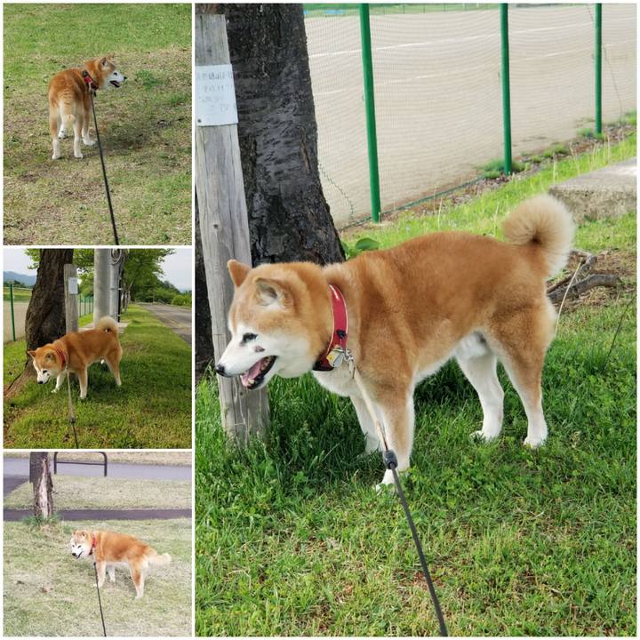 8b8b98fa d507 443f b21a cca529f7de14 1747986291158