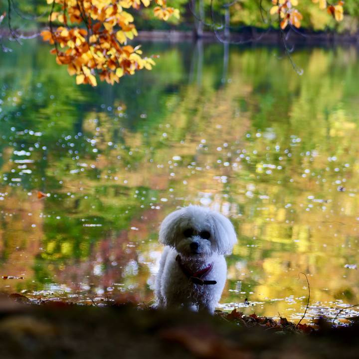 8b8b9998 a869 4613 909f 60251b62e3e1 1761080190217