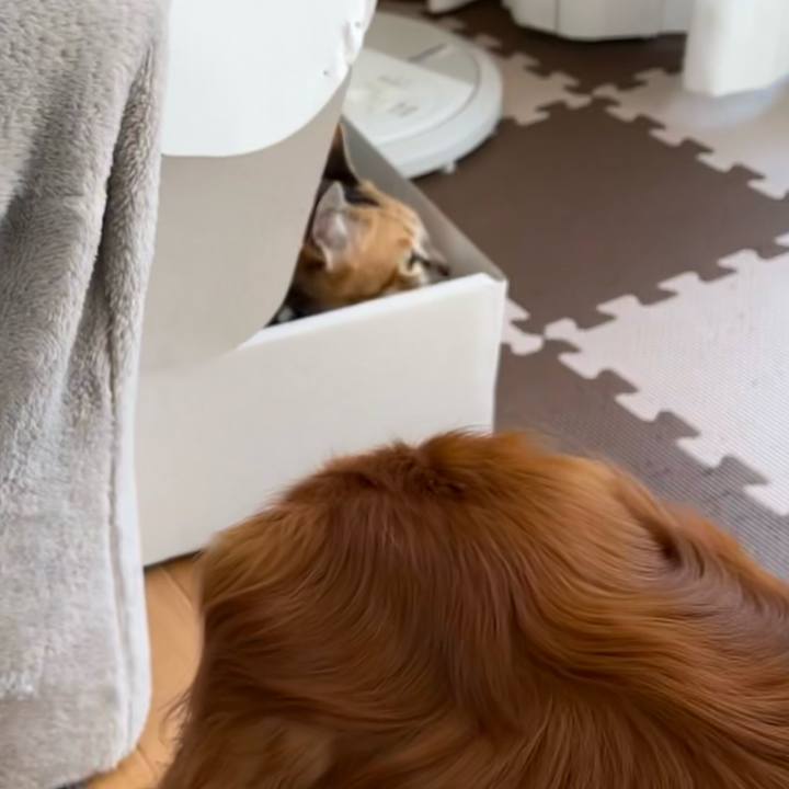 8b8ba785 259c 4d51 a0f8 2db5f9d5c36a 1682547886784