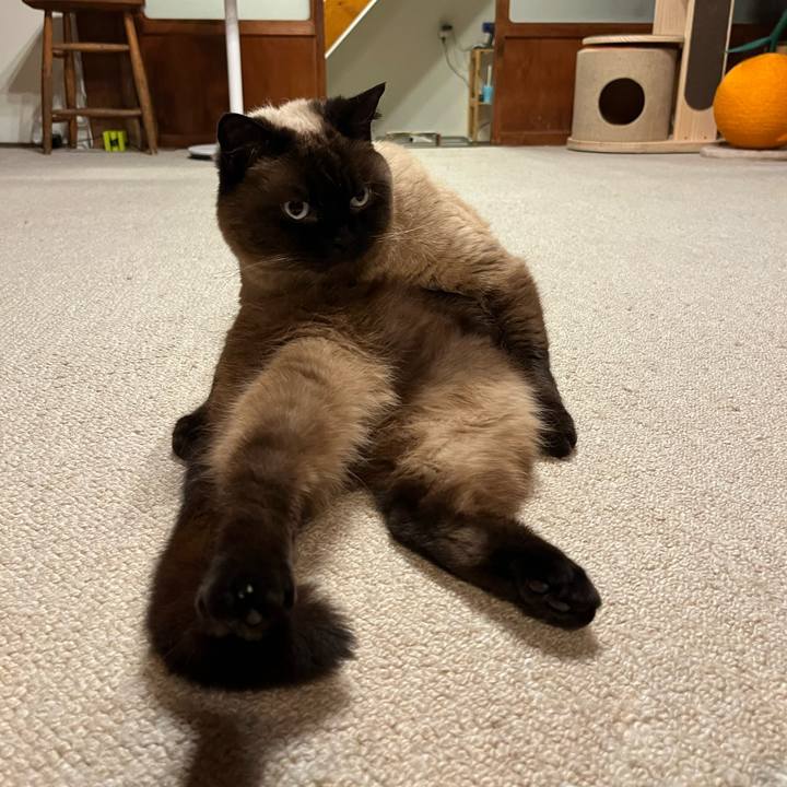 8b8baf49 35d2 4746 8009 656f8041341d 1718098562827