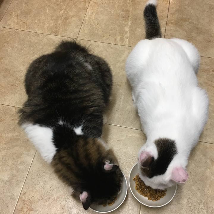 8b8be732 311e 4556 a74d 331e731c6a94 1510023388003