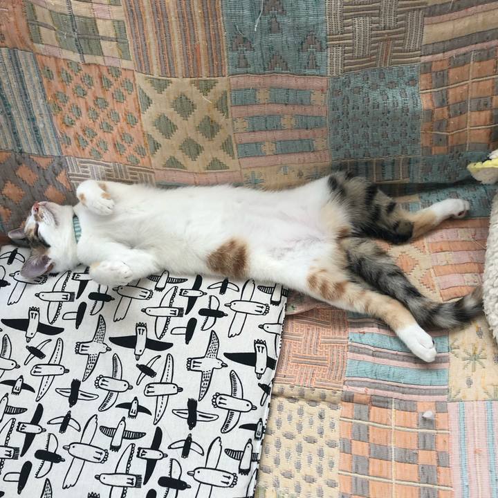 8b8c5a4a 7822 4159 9ae7 120f11cd6ee0 1567919169901