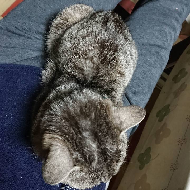 8b8c5e12 6626 4c6e 9770 e61f0ff27402 1553508963368