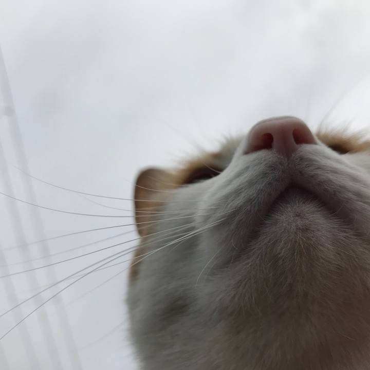 8b8c7906 b793 4a58 af60 992c43c8ba02 1522632876195