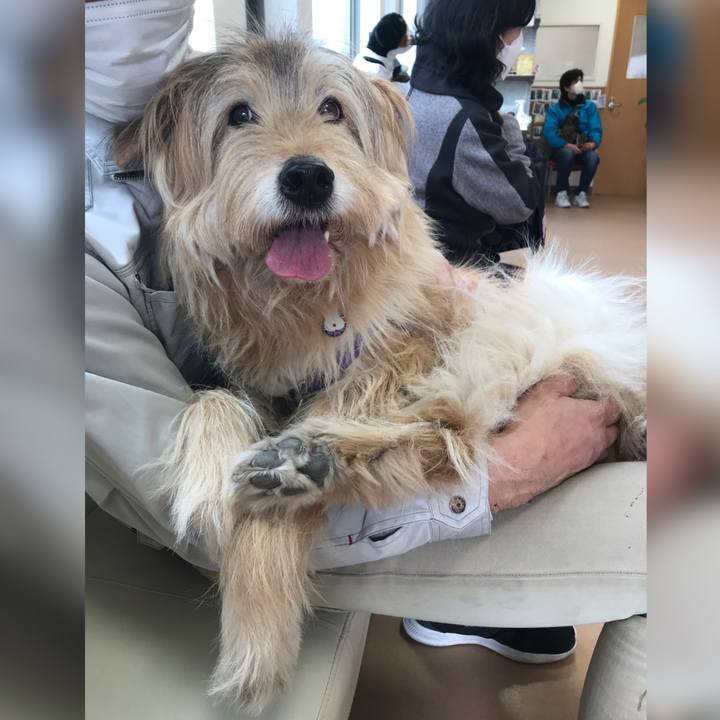 8b8cba2f 5a74 4b9c 8a45 69749a349aef 1646189463410