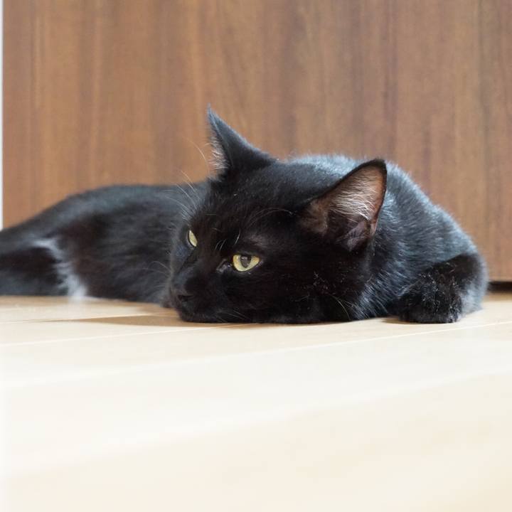 8b8d0091 a879 49d8 8c7d d3fe502fb896 1530142394498