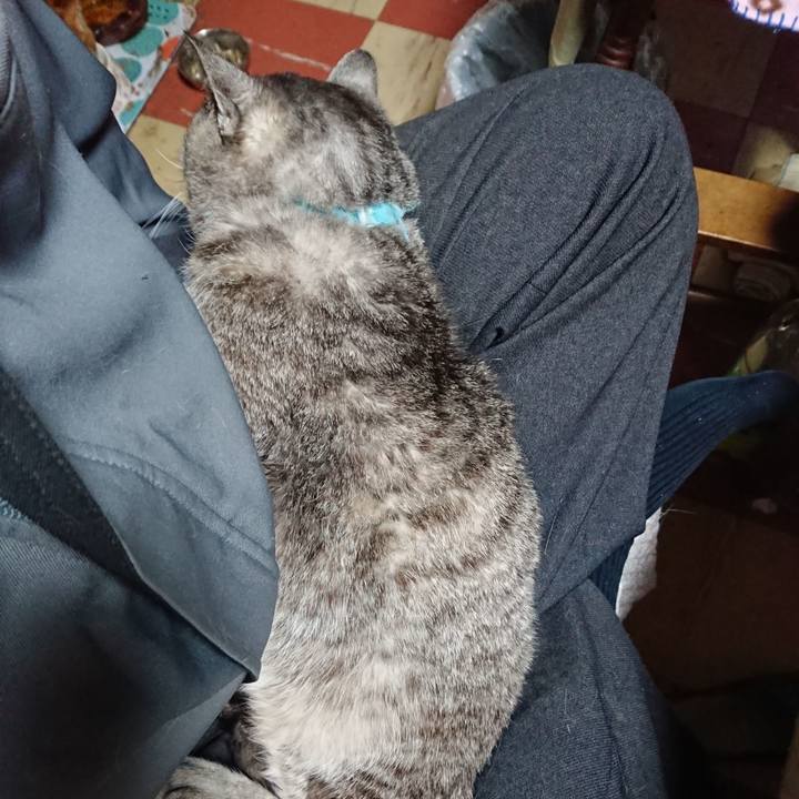 8b8d1c3f 9701 413f 81ec 14861df18b98 1573093044067