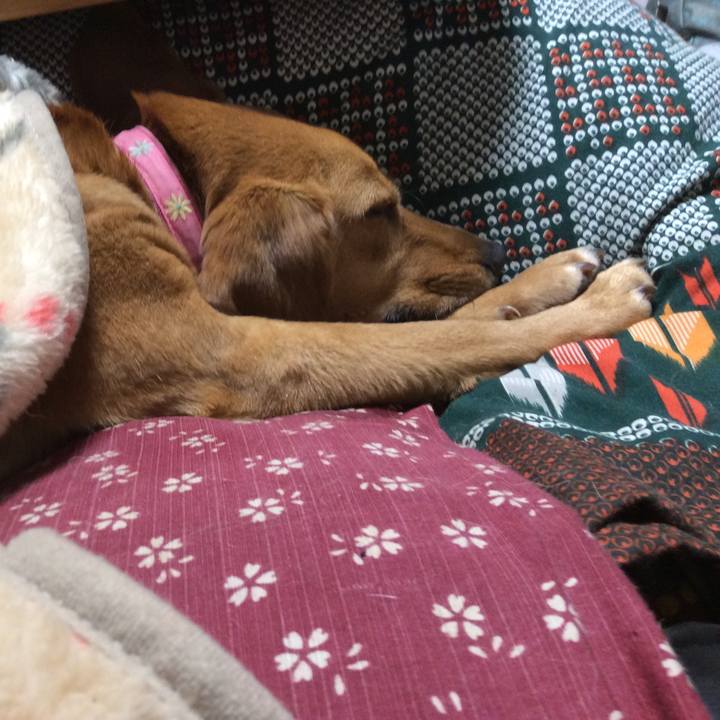 8b8d4631 7855 49ef 848a 40bc3d702eda 1518263350359